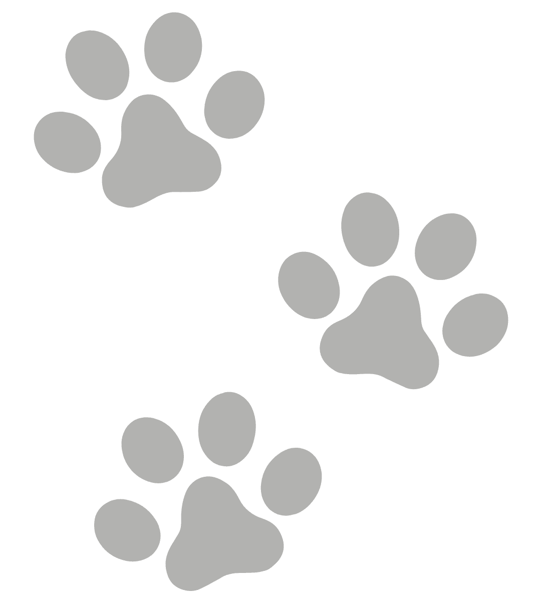 A black paw prints on a transparent background